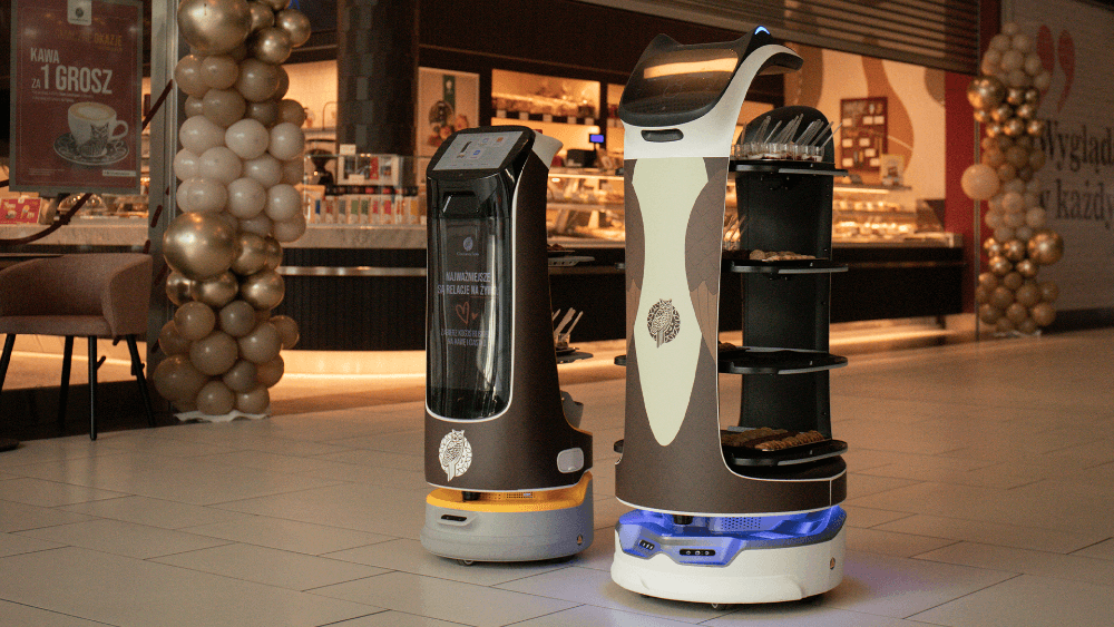 Robot Sówka w Gdańsku! - Zdjęcie 1