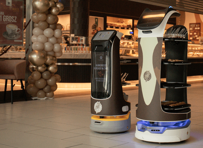 Robot Sówka w Gdańsku! - Zdjęcie 1